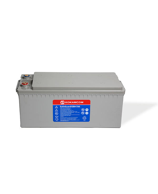 SafeGuard12BH620